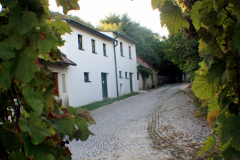 Weinkeller-Poysdorf-2